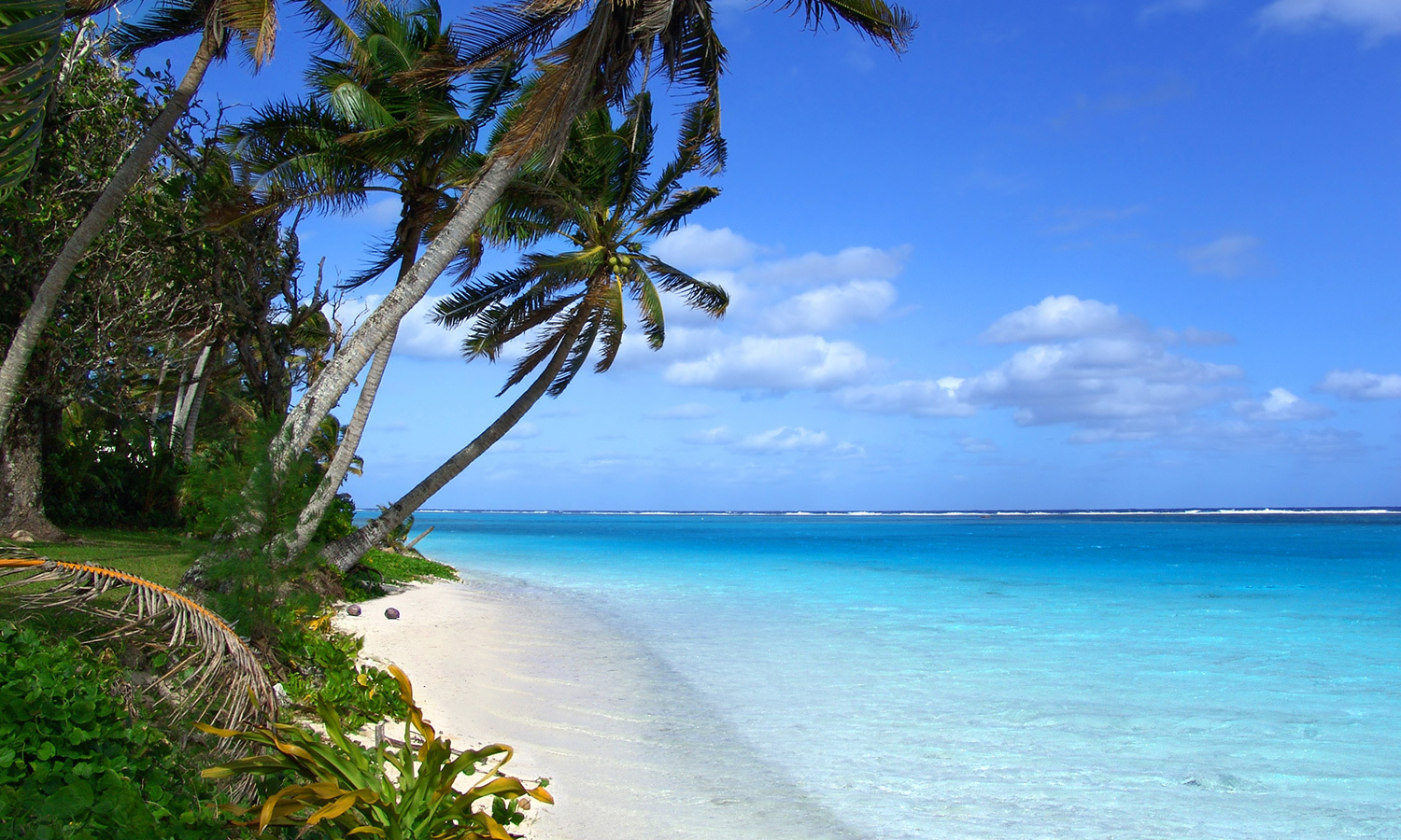 Hawaiian Island Cruise 7 nights Andrew Harper
